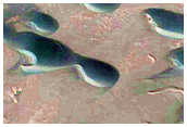 High-Latitude Dune Footprints