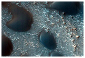 Cerberus Region Intra-Crater Dune Field