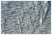 Flows in Fretted Terrain