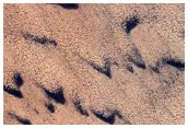Chasma Boreale Gypsum Dunes