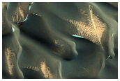 North Polar Dunes