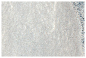 Phlegra Montes Contact with Northern Plains