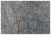 High-Latitude Sample