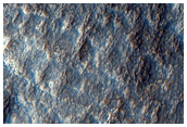 Northern Plains Terrain