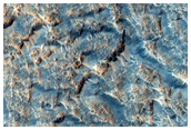 Acidalia Planitia
