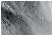 Possible Gullies in Crater in North Tempe Terra