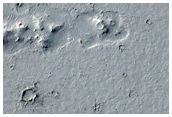 Inflation Features in Elysium Planitia