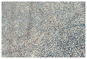 Dark Filamentary Streak Seasonal Monitor Site on Northern Plains