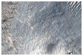 Valley Tributary