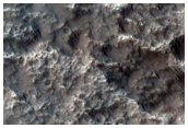 Leveed Lava Flows on Olympus Mons