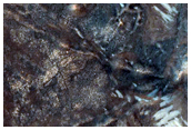 Candidate Landing Site for 2020 Mission