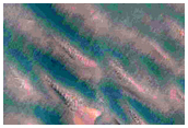 Chasma Boreale Gypsum Dune Changes