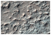 Bedrock or Rocky Ground