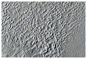 Monitoring New Impact Site
