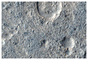 Candidate Landing Site for 2020 Mission