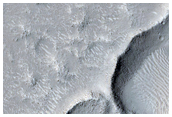 Dense Crater Field