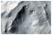 Branched and Curving Ridges among Yardangs