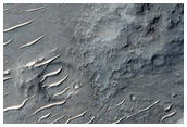 Sample of Diverse Terrains in Tyrrhena Terra