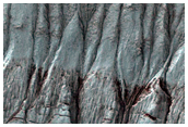 Gully Monitoring