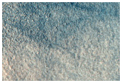 Northern Plains Sample