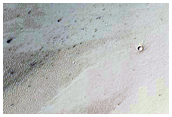 New Secondary Crater Field