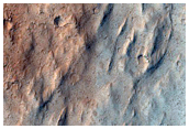 Leveed Lava Channels on Olympus Mons
