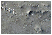 Candidate Landing Site for 2020 Mission in West Meridiani Planum