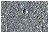 Crater and Kasei Valles Lava
