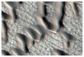 Furrows on Dunes