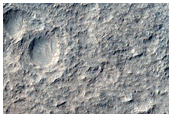 Rim of Lederberg Crater