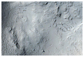 Well-Preserved Impact Crater in Elysium Planitia