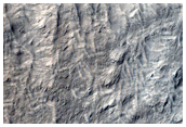 Terrain Near Isidis Planitia
