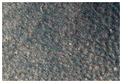 Polar Dune Sample