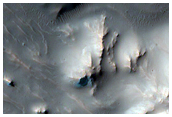 Gully Monitoring