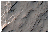 Layers in Light-Toned Materials within Southern Mid-Latitude Crater