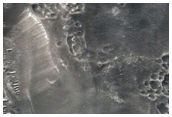 Syrtis Major Region Crater Chain