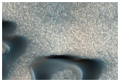 Polar Dune Diversity