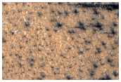 Polar Erg Fringes