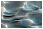 Dunes Dubbed Buzzel