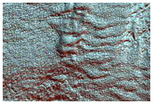 Multi-Lobed Gully Apron