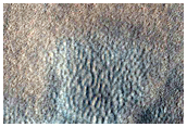 Northern Plains Sample