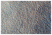 Northern Plains Sample