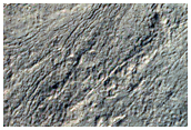 Monitor Gully Activity in Corozal Crater