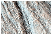 Gully Monitoring
