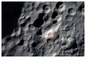 Naruko Crater Gully Monitoring