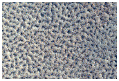 Northern Plains Sample