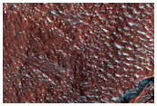 Gully Monitoring