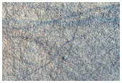 Northern Plains Sample