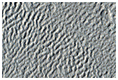 Cratered Terrain in Arabia Terra