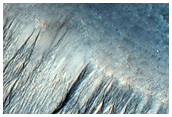 Gully Monitoring